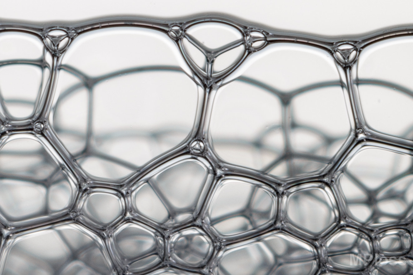 Canon EF-S 60mm F2.8 Macro USM sample photo. Foam photography
