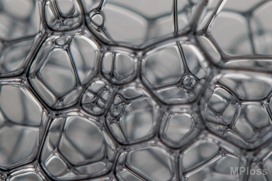 Canon EF-S 60mm F2.8 Macro USM sample photo. Foam photography