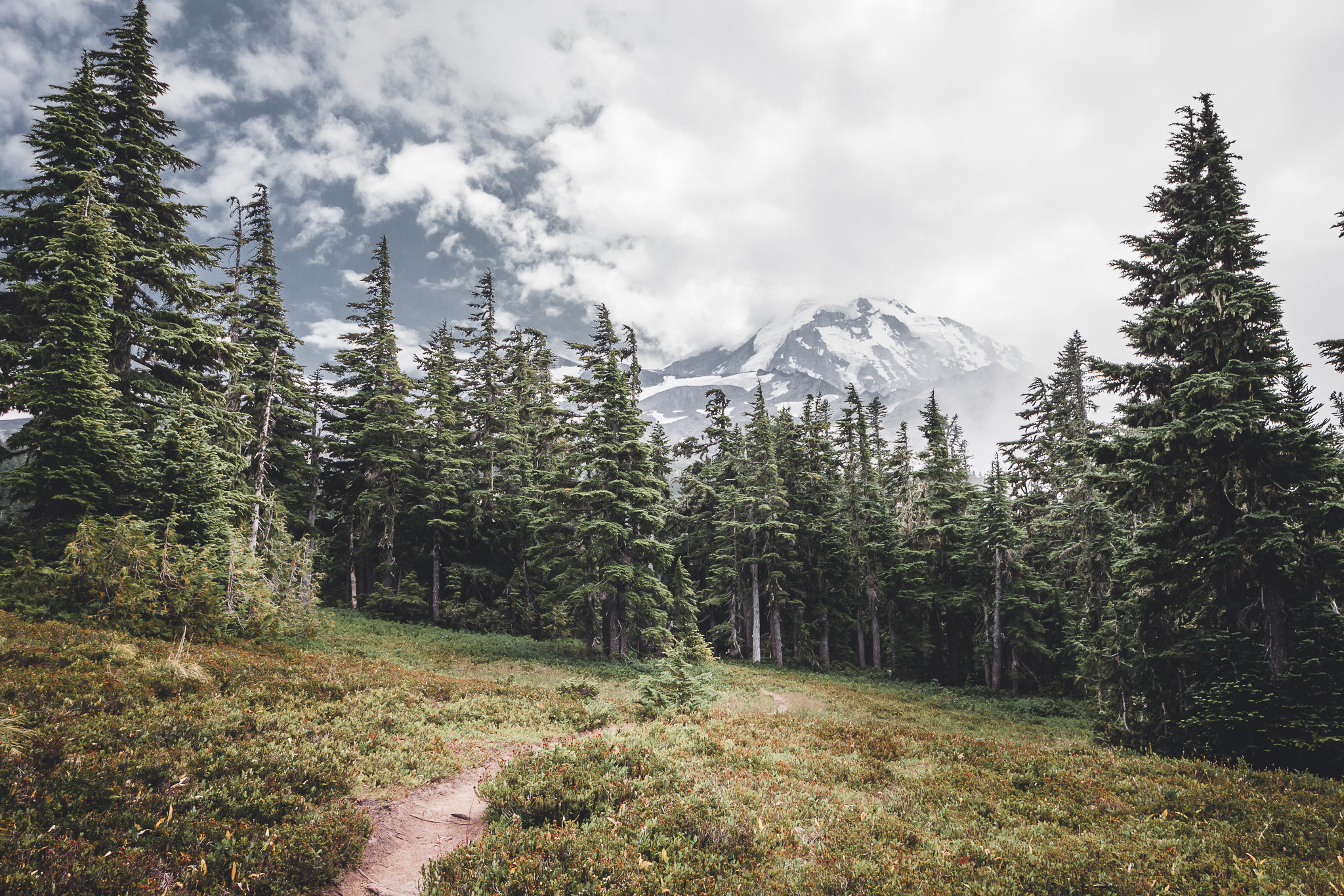 Canon EF-S 10-18mm F4.5–5.6 IS STM sample photo. Path to rainier photography