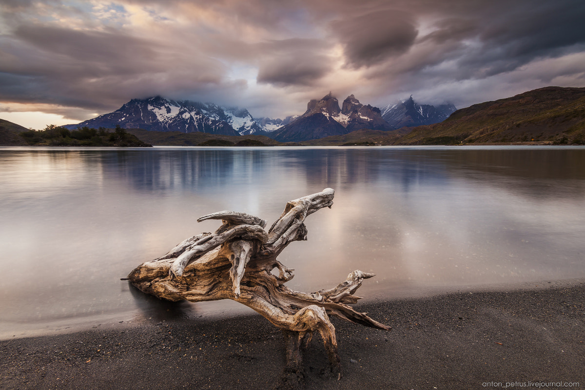 Canon EOS 5D Mark II + Canon EF-S 17-85mm F4-5.6 IS USM sample photo. Lake monsters torres del paine photography