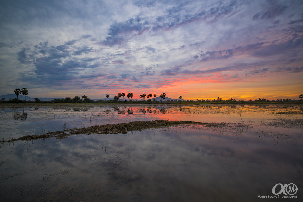 Sony Vario-Sonnar T* 16-35mm F2.8 ZA SSM II sample photo. 1st sony digital workshop ! (ខេត្តកំពង់ស្ពឺ) photography