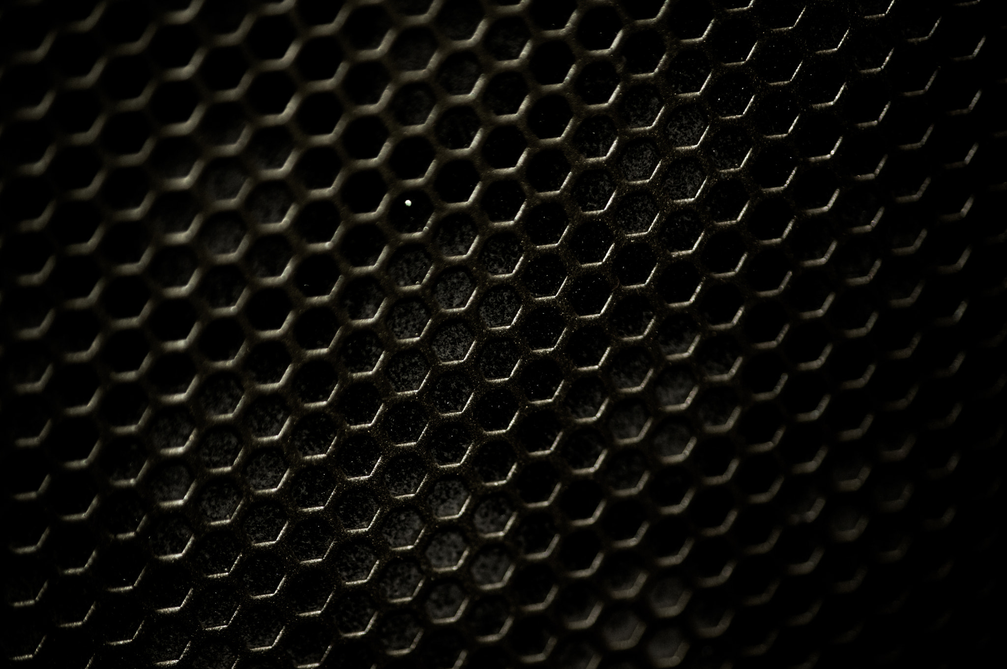 Pentax smc DA 50-200mm F4-5.6 ED sample photo. Grille photography