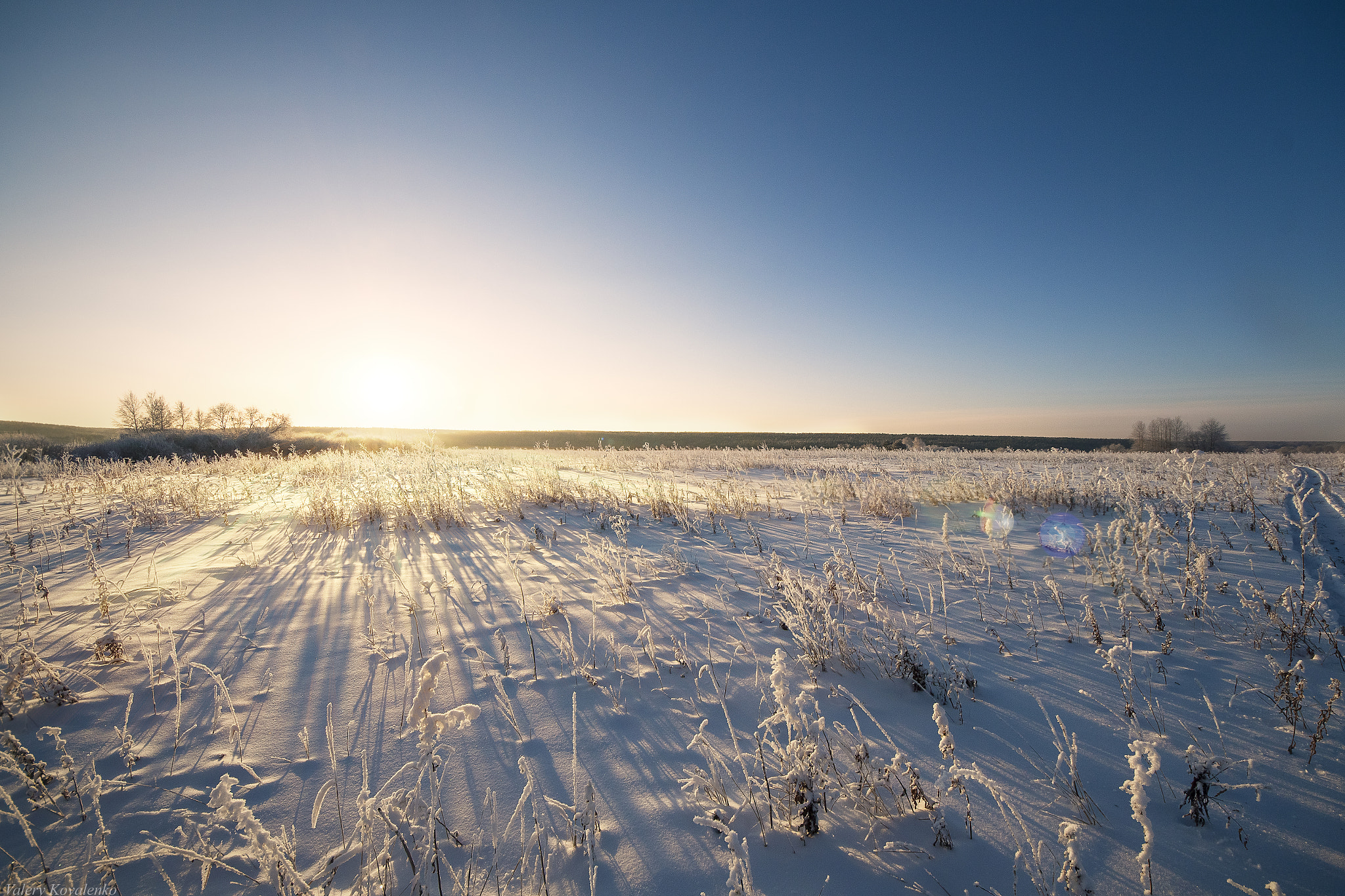 Sigma 8-16mm F4.5-5.6 DC HSM sample photo. Ural forest: sun photography