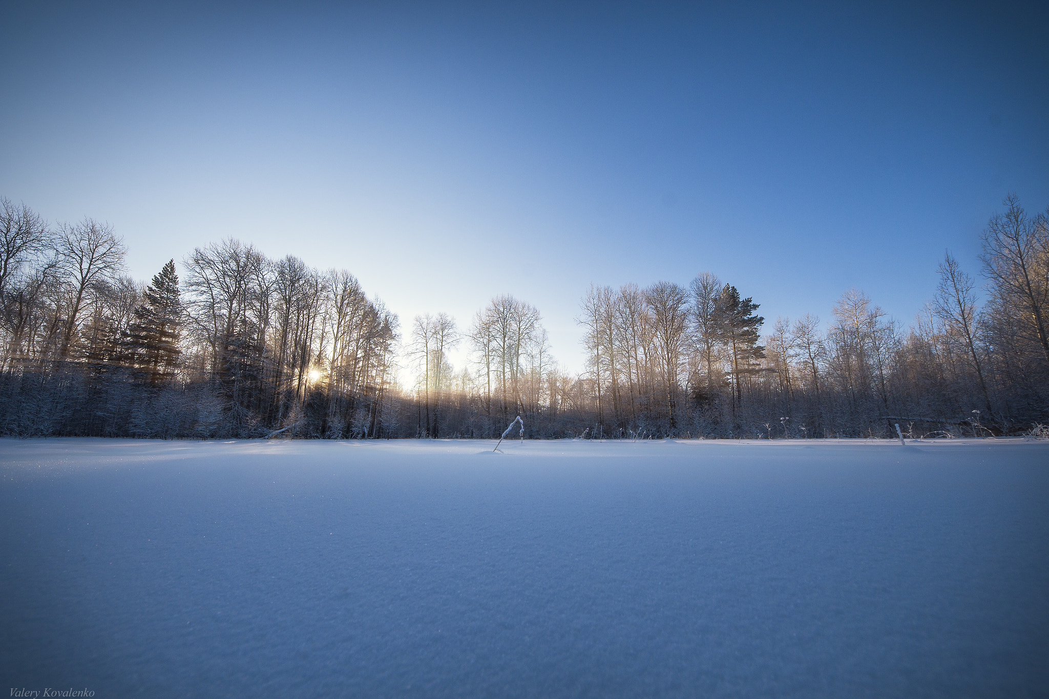 Sigma 8-16mm F4.5-5.6 DC HSM sample photo. Ural forest photography