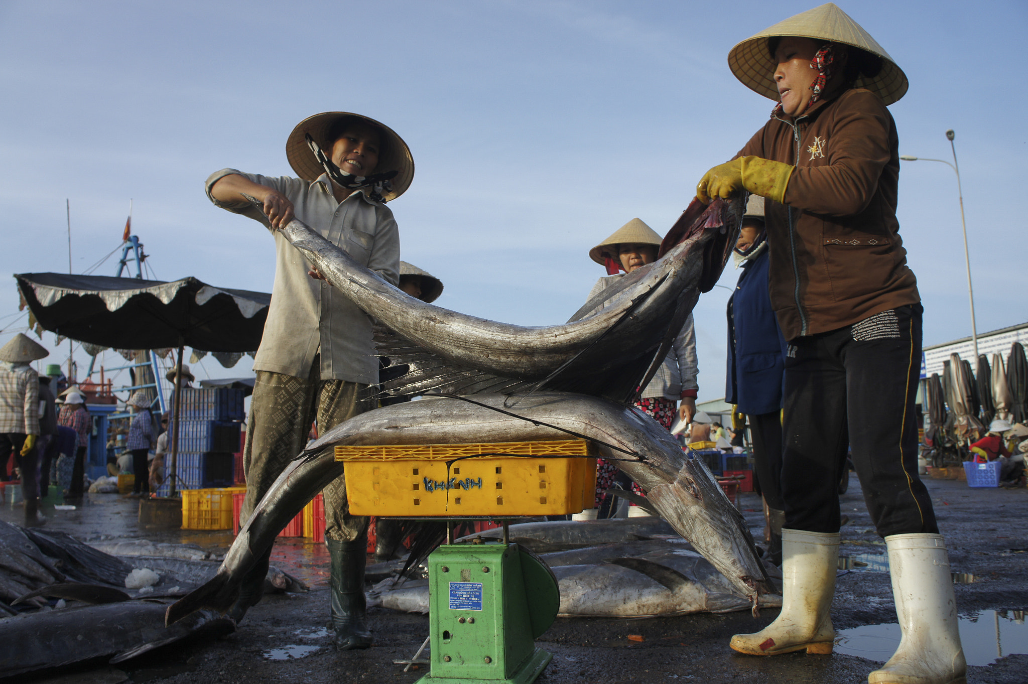 Sony NEX-3C sample photo. Morning work at lagi fishing port photography