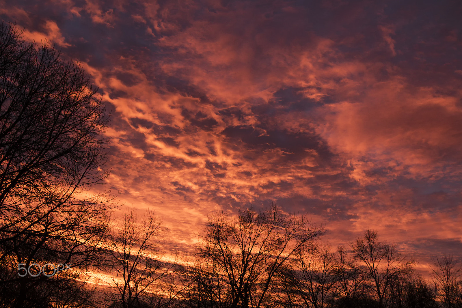 Canon EOS 760D (EOS Rebel T6s / EOS 8000D) sample photo. Altocumulus ablaze! photography