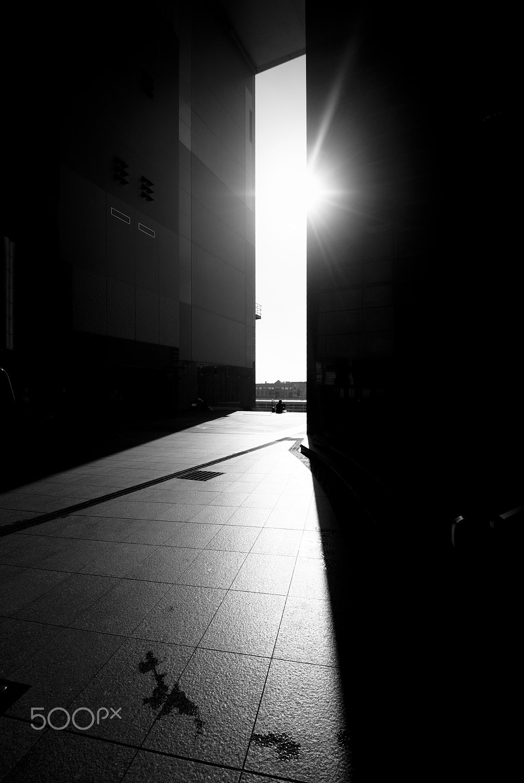Nikon D40X sample photo. The man photography