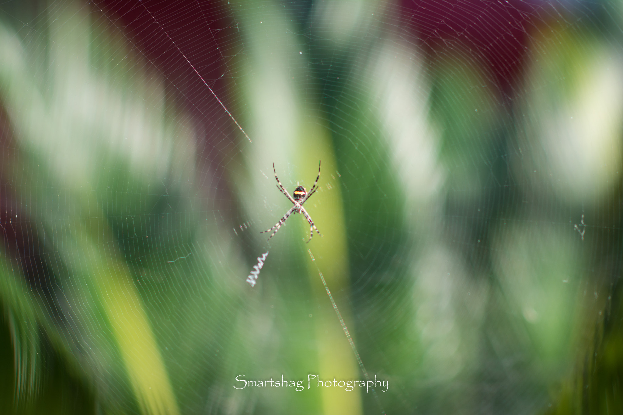 Nikon D7100 + Nikon AF-S Nikkor 85mm F1.4G sample photo. Home is where the x is photography
