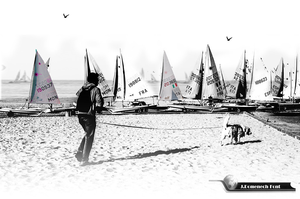 AF Zoom-Nikkor 24-50mm f/3.3-4.5D sample photo. Shadows of the beach photography