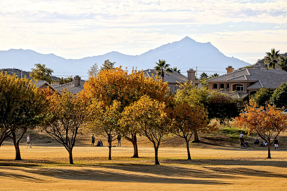 Canon EF 70-200mm F2.8L USM sample photo. Fall colors in december phoenix, az photography