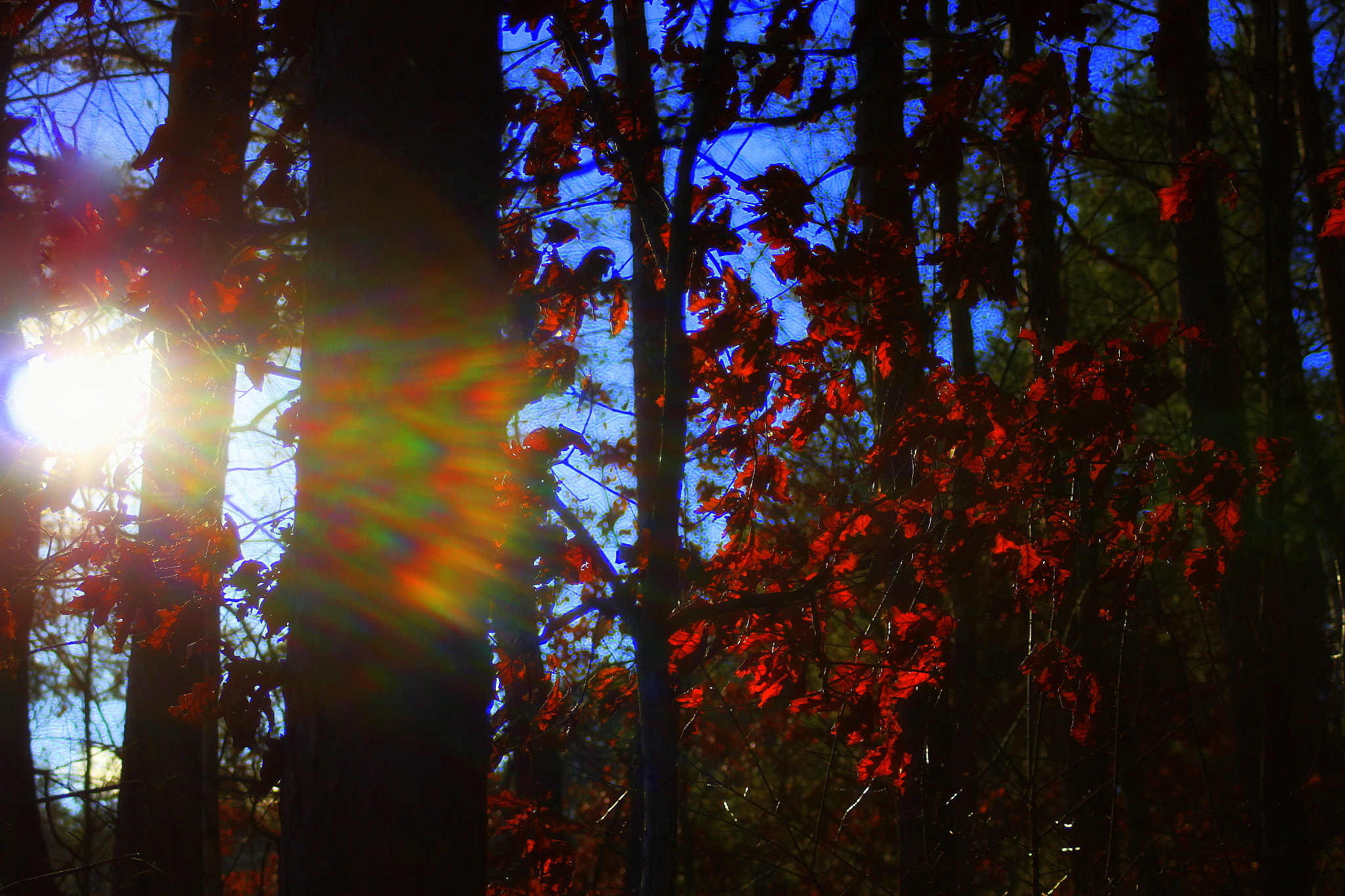 Canon EF 28-90mm f/4-5.6 sample photo. Sunny park photography