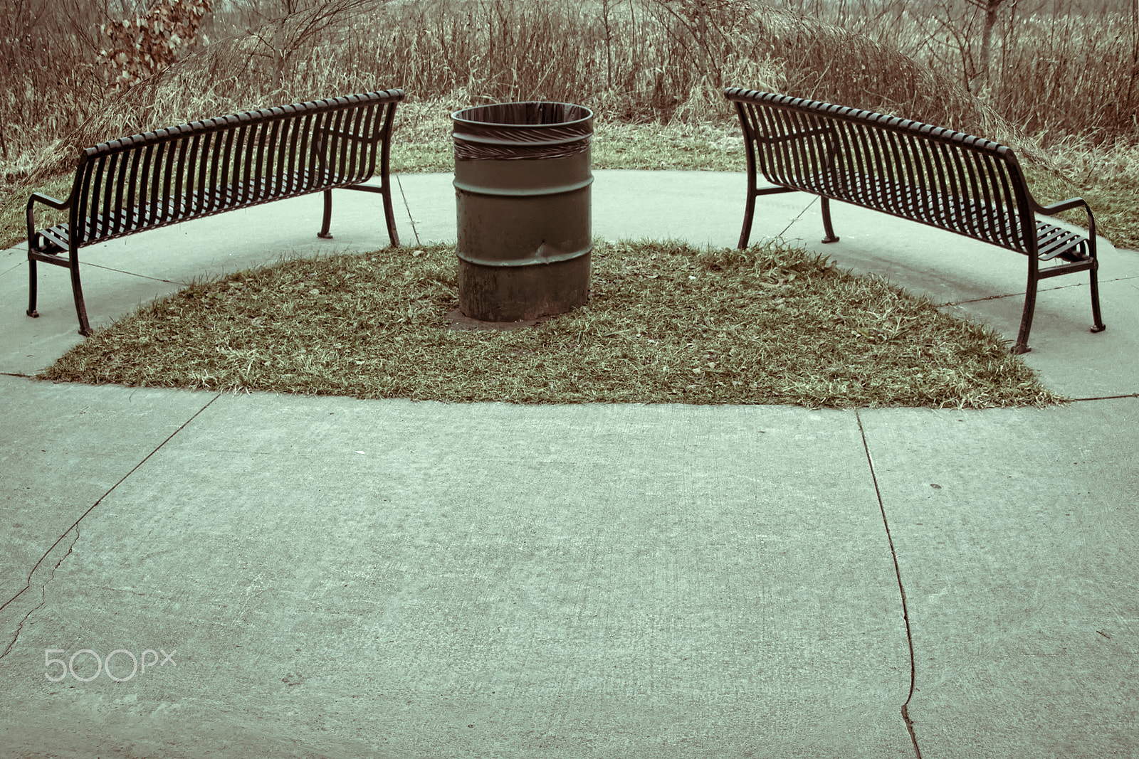 Canon EOS 760D (EOS Rebel T6s / EOS 8000D) sample photo. Tone benches facing apart on a cold morning photography