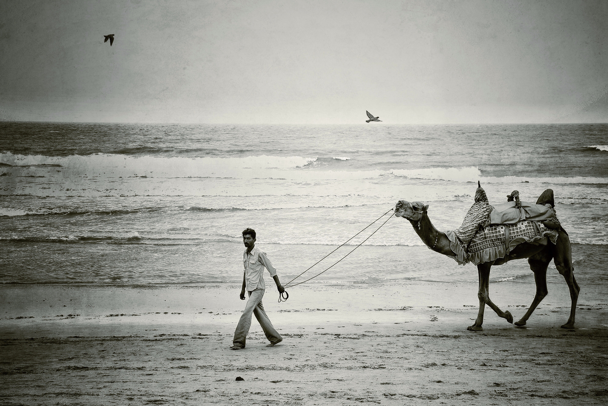Sigma 18-125mm F3.8-5.6 DC OS HSM sample photo. Mandvi beach, gujarat-india photography