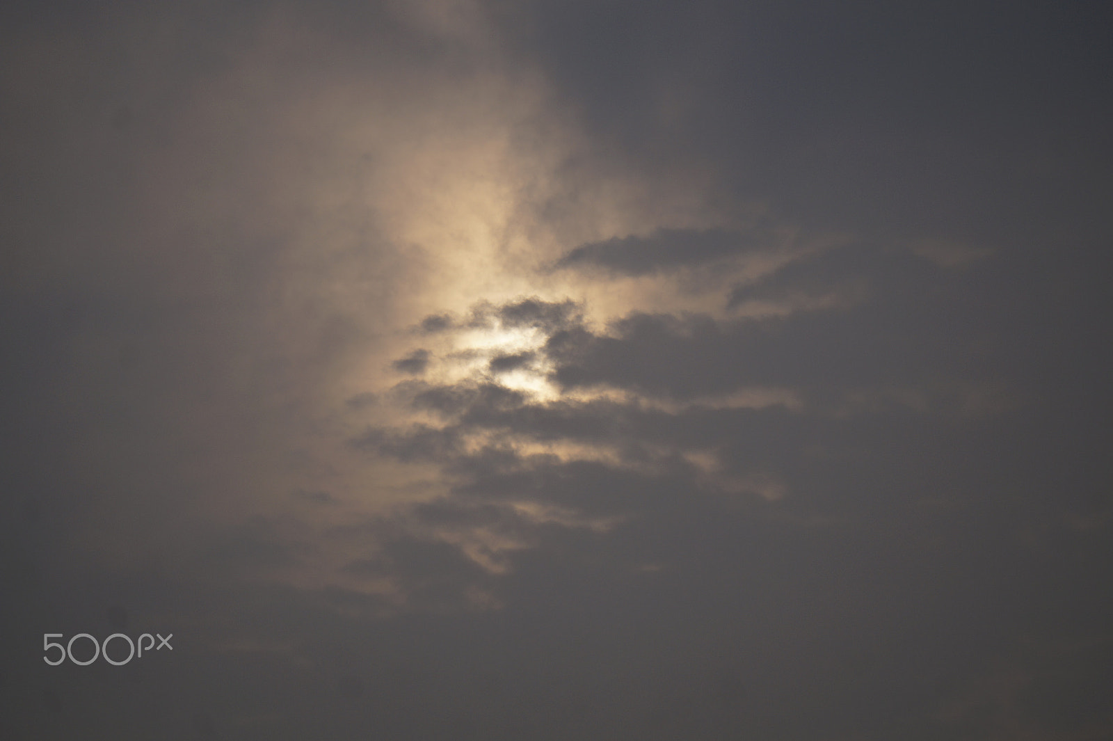 Sony E 55-210mm F4.5-6.3 OSS sample photo. Hide & seek [sun version] photography