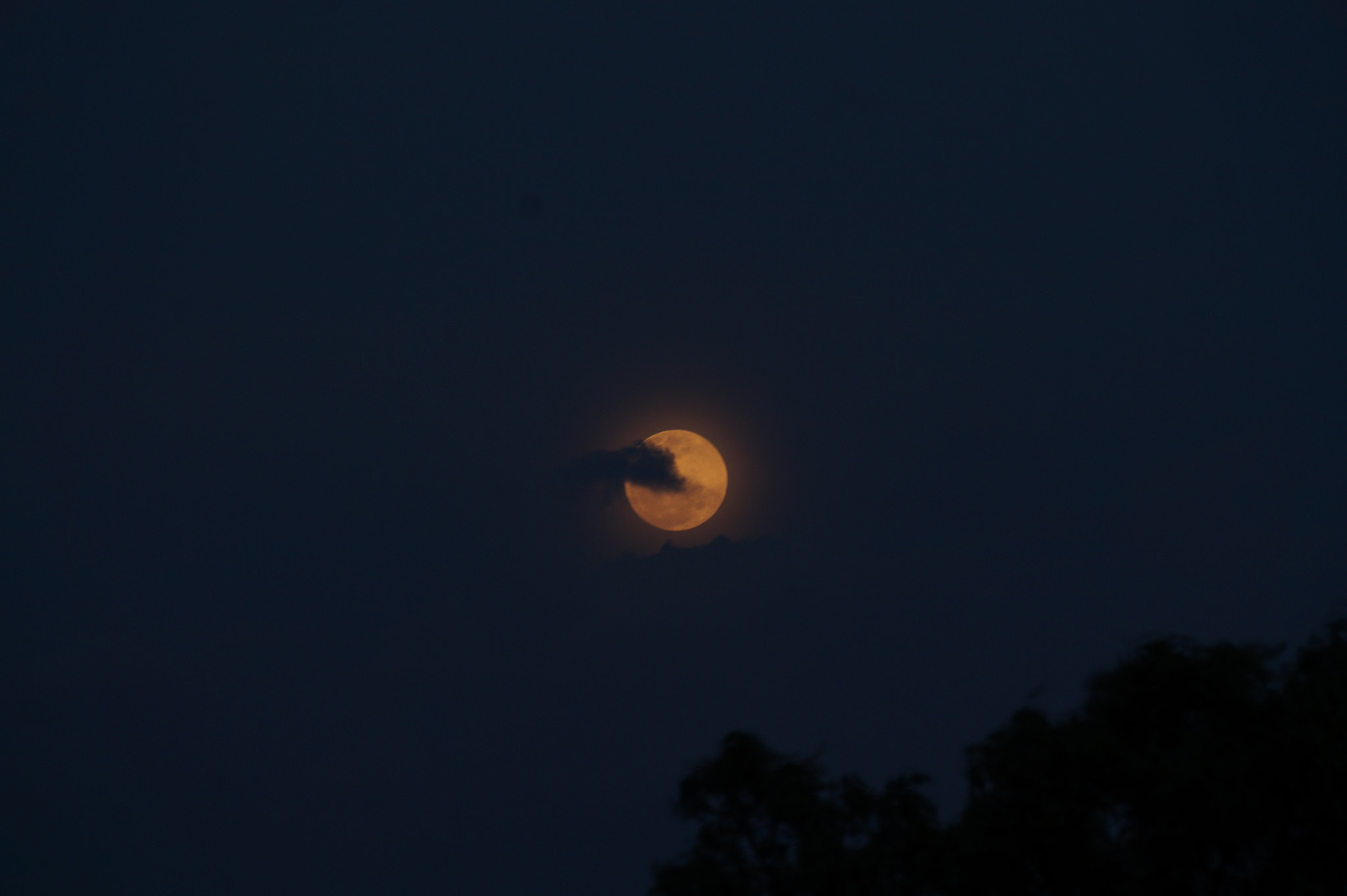 Sony E 55-210mm F4.5-6.3 OSS sample photo. Mellow moon photography