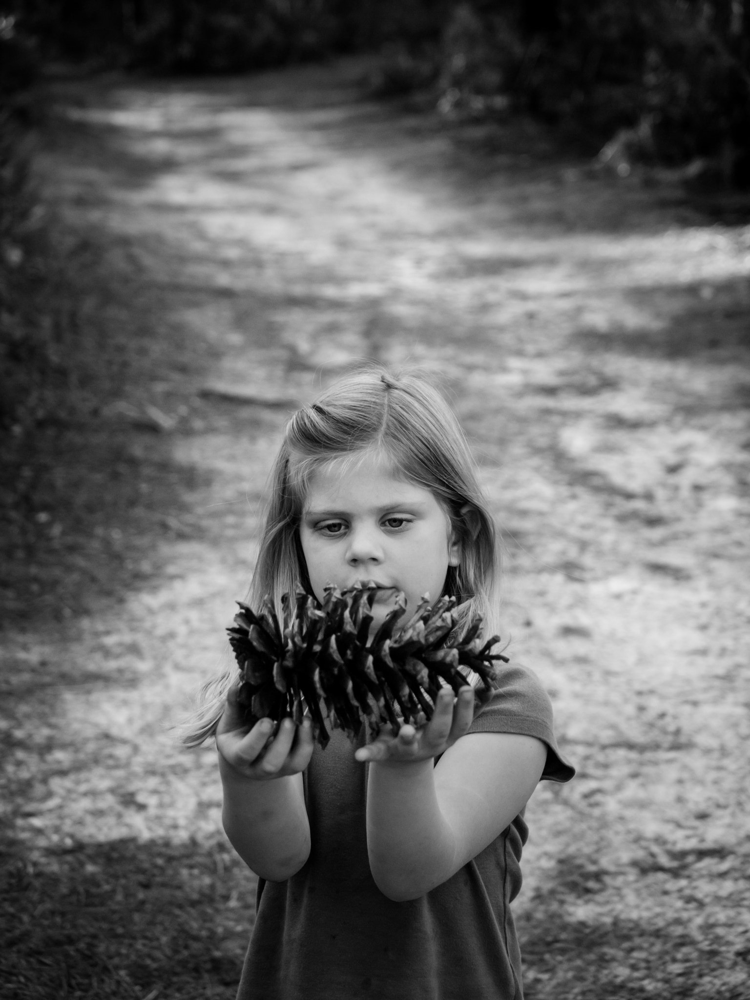 Olympus E-600 (EVOLT E-600) sample photo. Pine cone photography