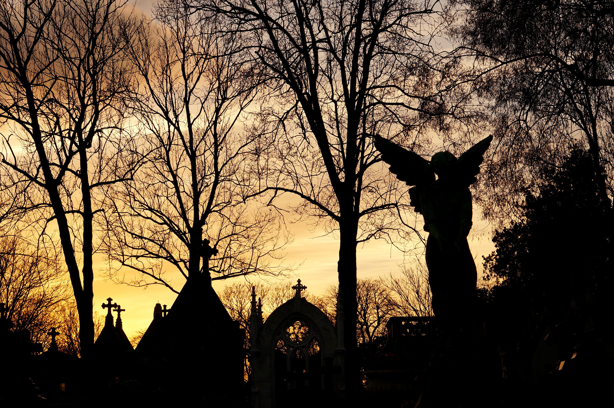 Sony Alpha NEX-5T + Sony E 50mm F1.8 OSS sample photo. Paris, père lachaise photography