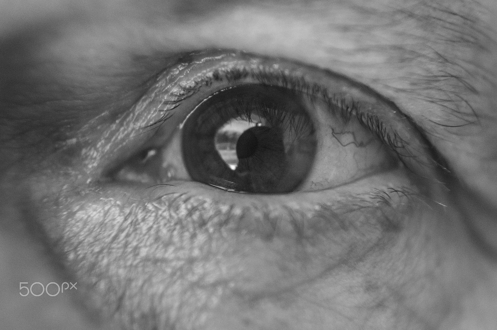 Sony SLT-A58 + Minolta AF 28-85mm F3.5-4.5 sample photo. Pather photography