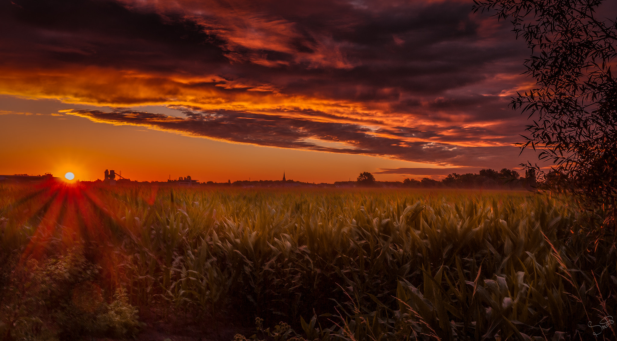 Sigma 17-70mm F2.8-4 DC Macro OS HSM | C sample photo. Sunrise rupeldijk photography