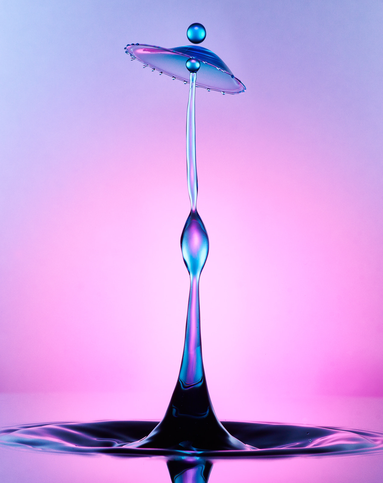 90mm F2.8 sample photo. Collide 31 photography