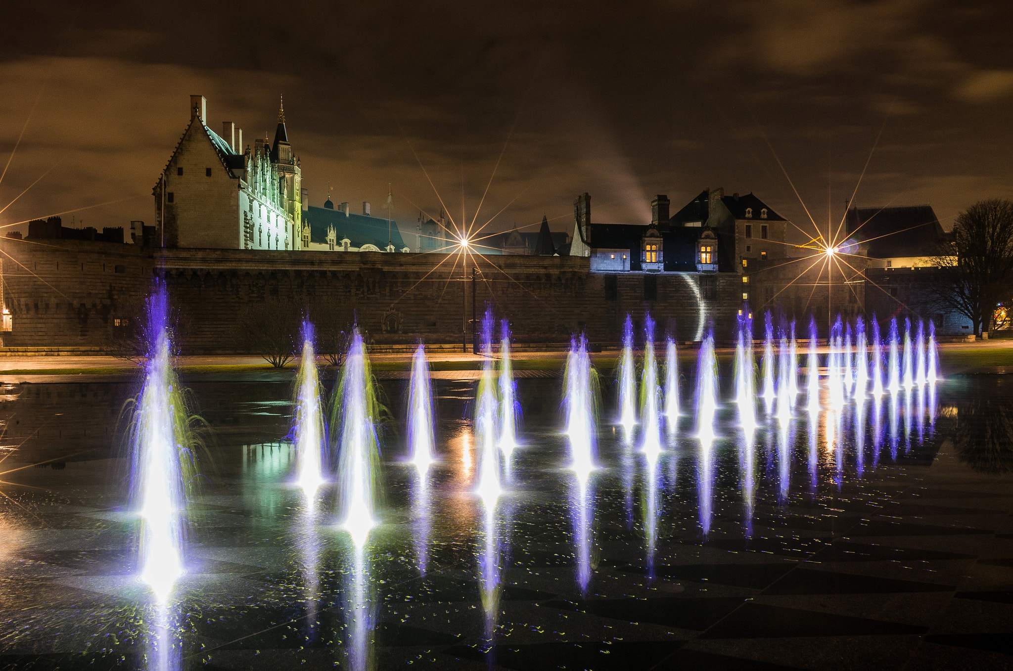 Pentax smc DA 15mm F4 ED AL Limited sample photo. Nantes castle photography