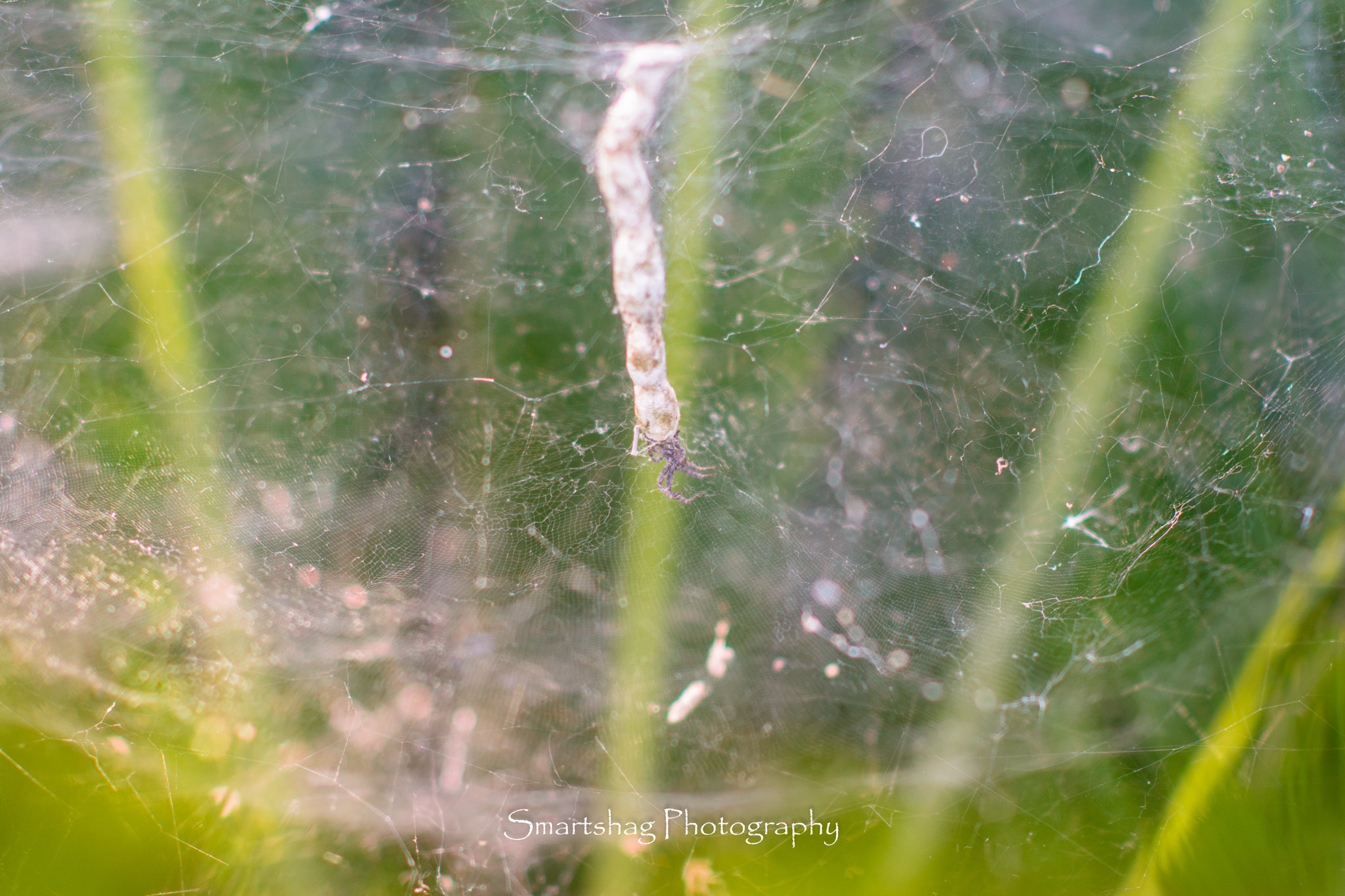 Nikon D7100 + Nikon AF-S Nikkor 85mm F1.4G sample photo. Precious cargo...fragile...handle with care photography