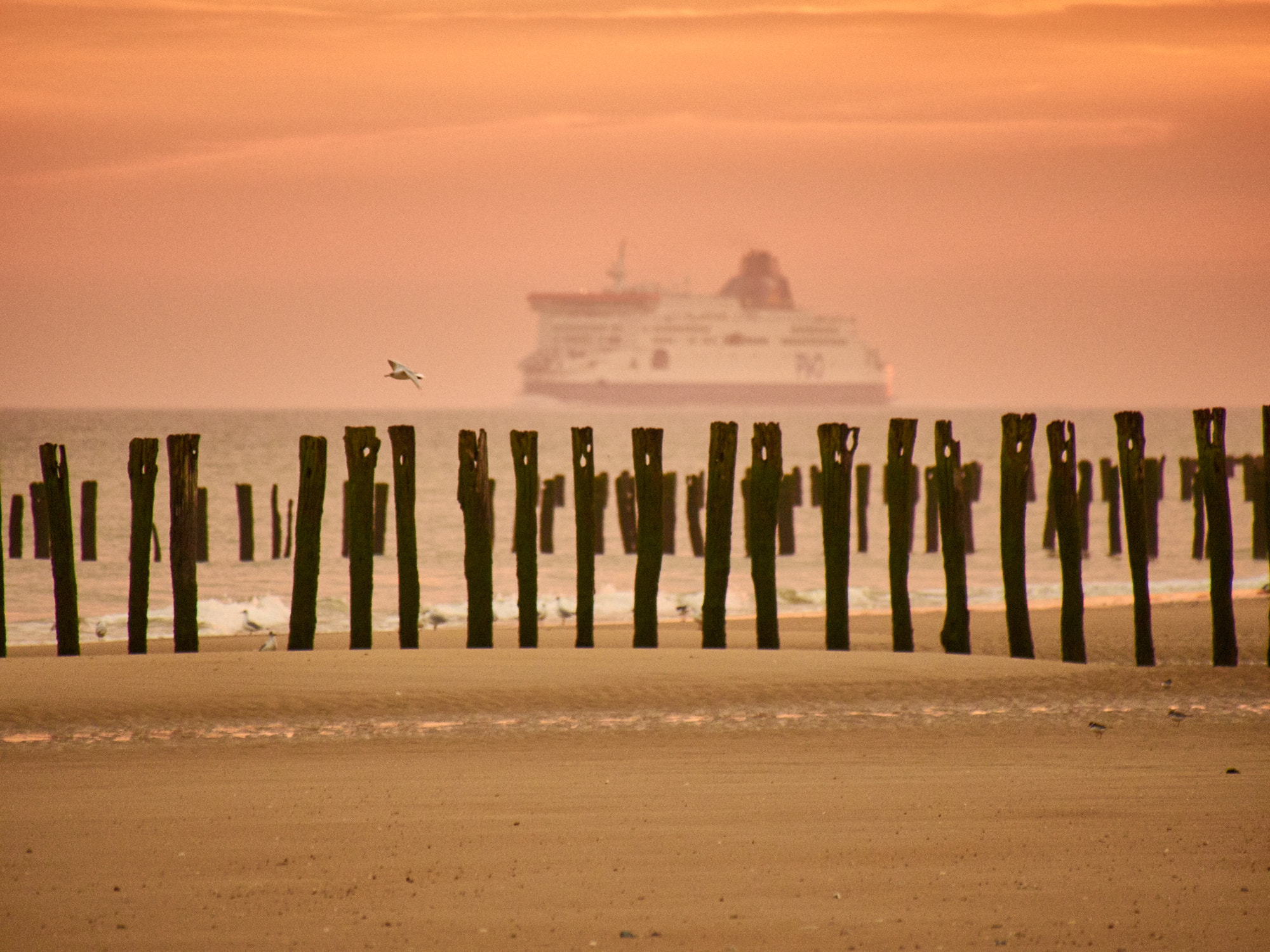 Olympus PEN E-PL7 sample photo. Breaker, bird and boat photography