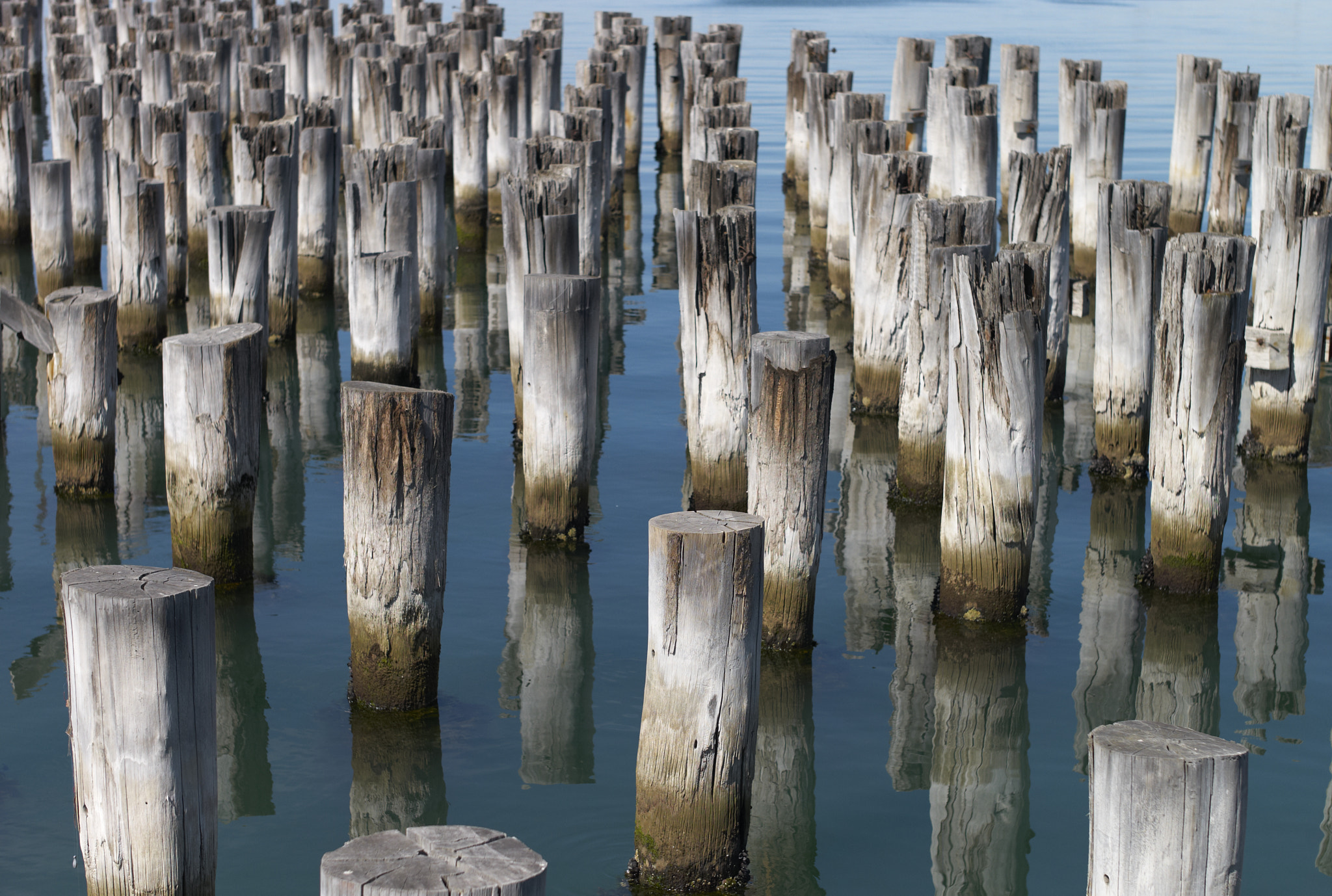 Leica M8 sample photo. Pier photography