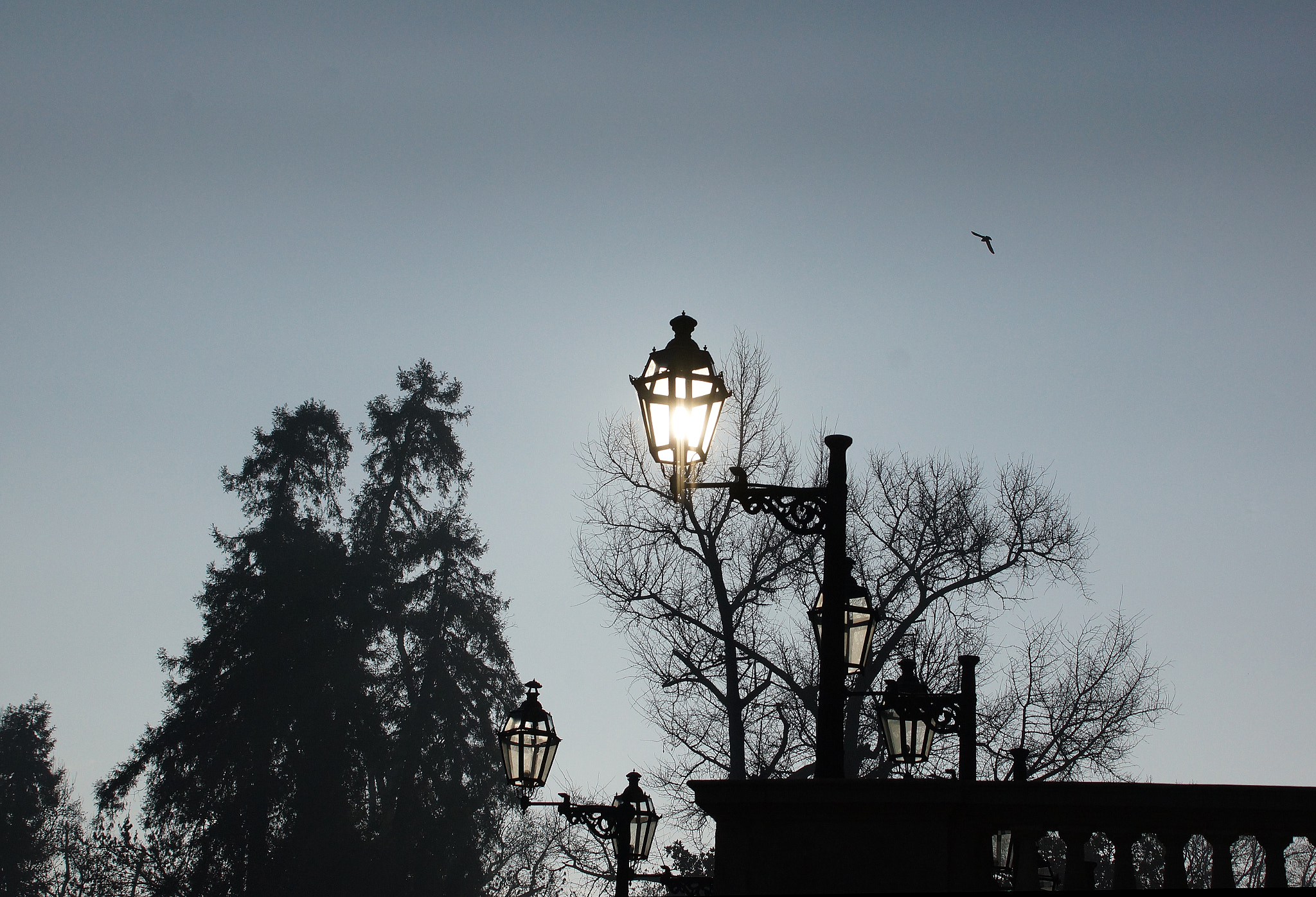 Sony SLT-A77 + DT 18-300mm F3.5-6.3 sample photo. Sunlight into lamppost photography