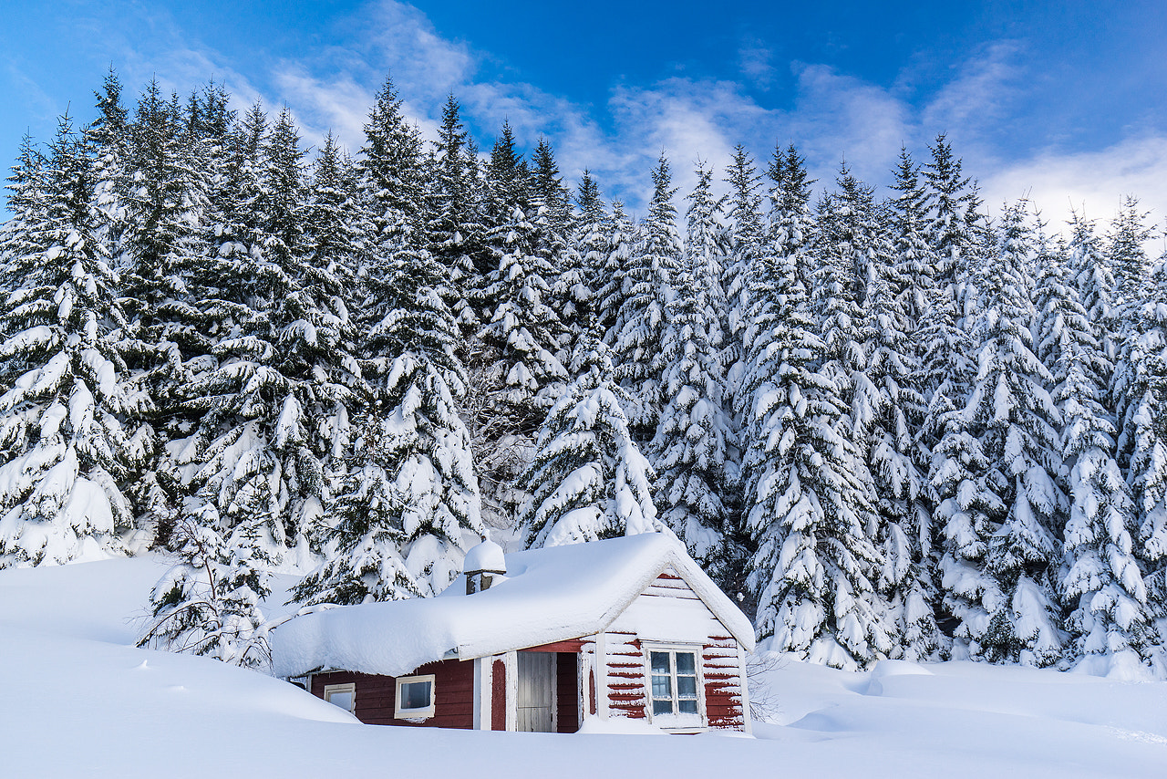 16-35mm F4 OSS sample photo. Winter wonderland photography