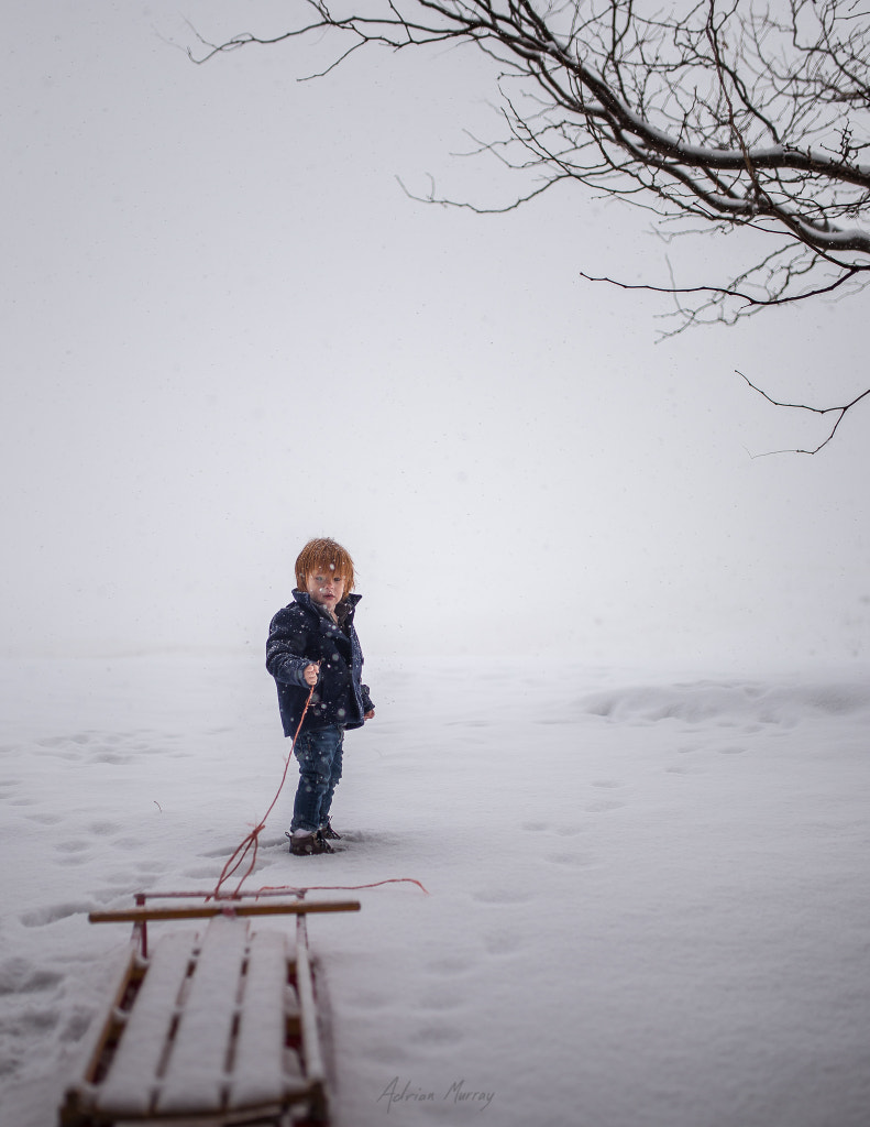 Morning Sled Ride by Adrian C. Murray on 500px.com