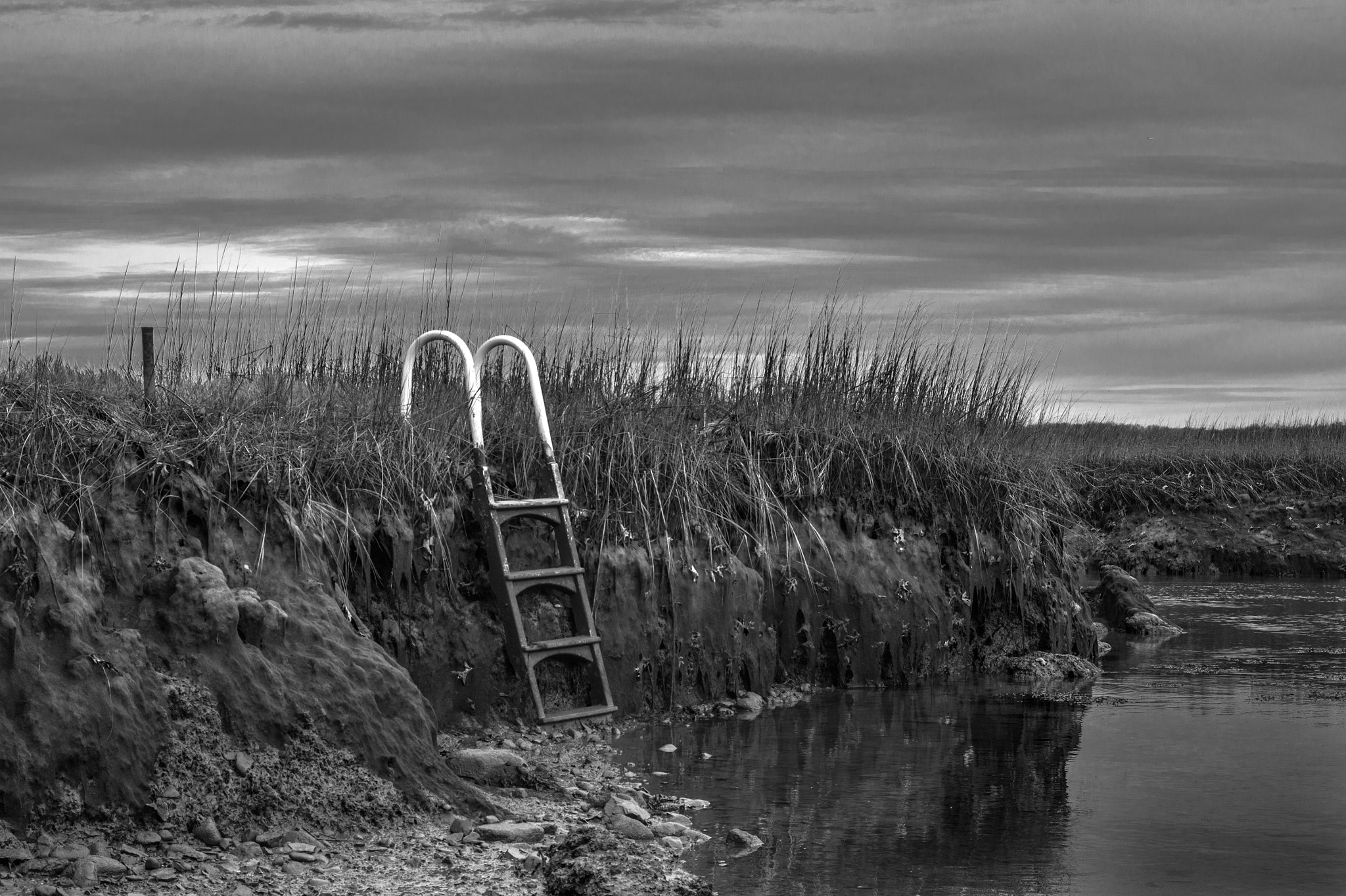 Pentax K-3 + Pentax smc DA 40mm F2.8 Limited sample photo. Boat acess ladder in monotone photography