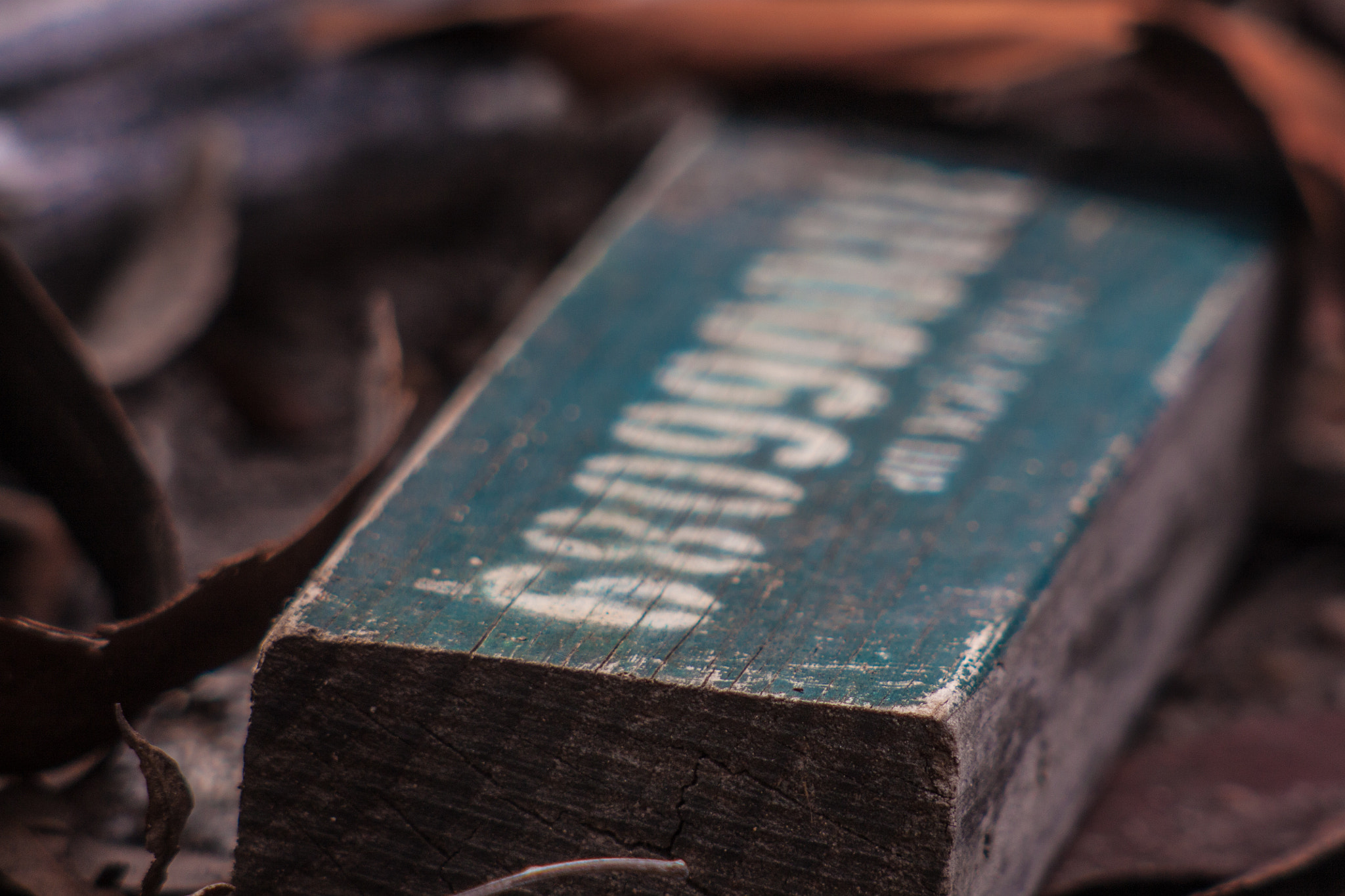 Canon EF 100-300mm F4.5-5.6 USM sample photo. Bush wood photography