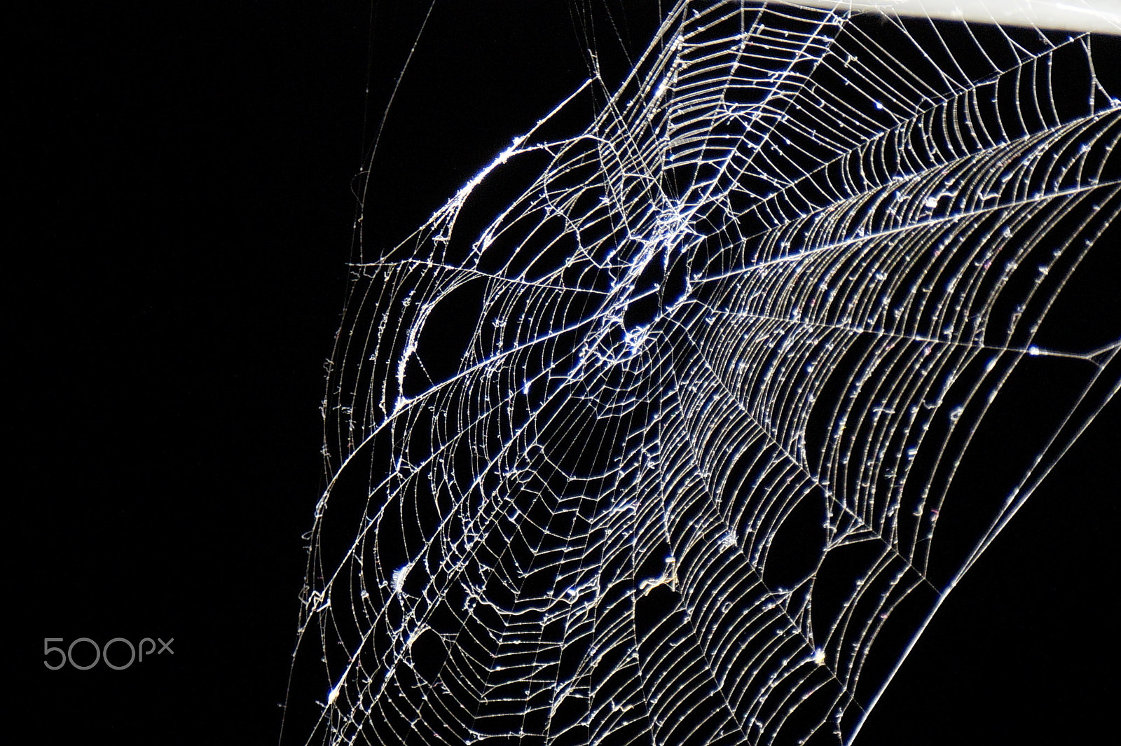 Sony E 55-210mm F4.5-6.3 OSS sample photo. Shattered cobweb photography
