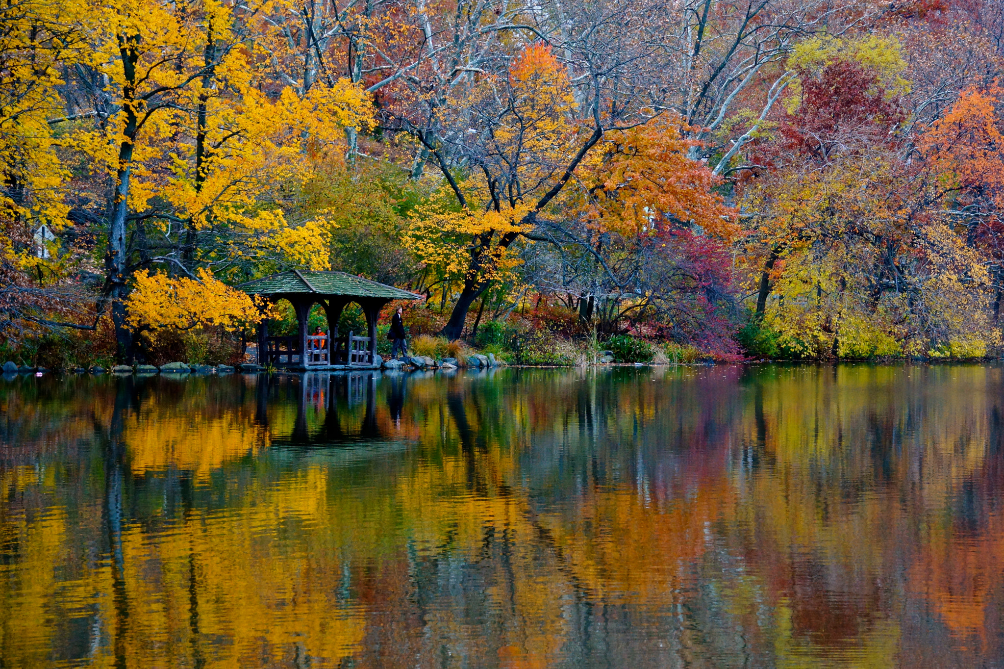 Sony FE 28-70mm F3.5-5.6 OSS sample photo. Central park photography