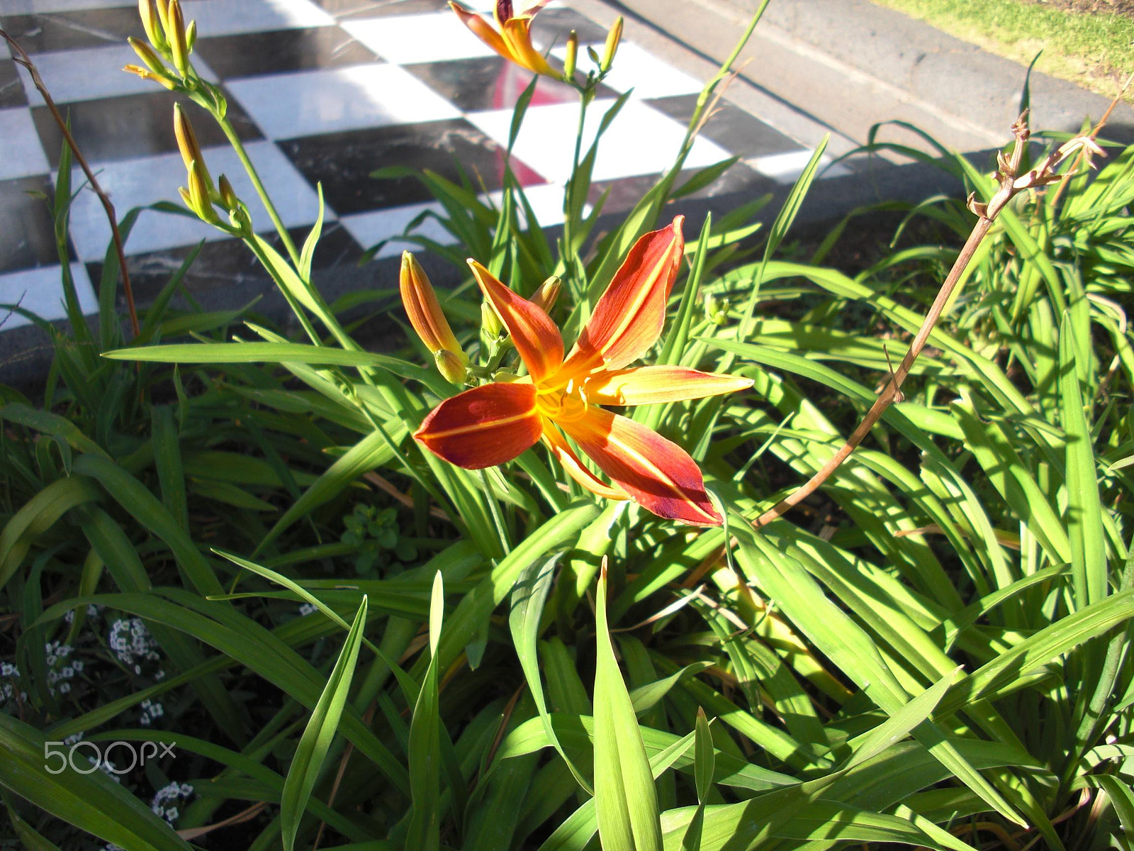 CASIO EX-S10 sample photo. Castle - 09 photography