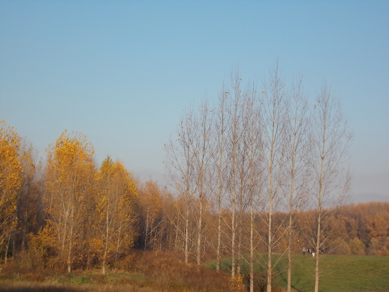 Nikon COOLPIX L27 sample photo. 186.jpg photography