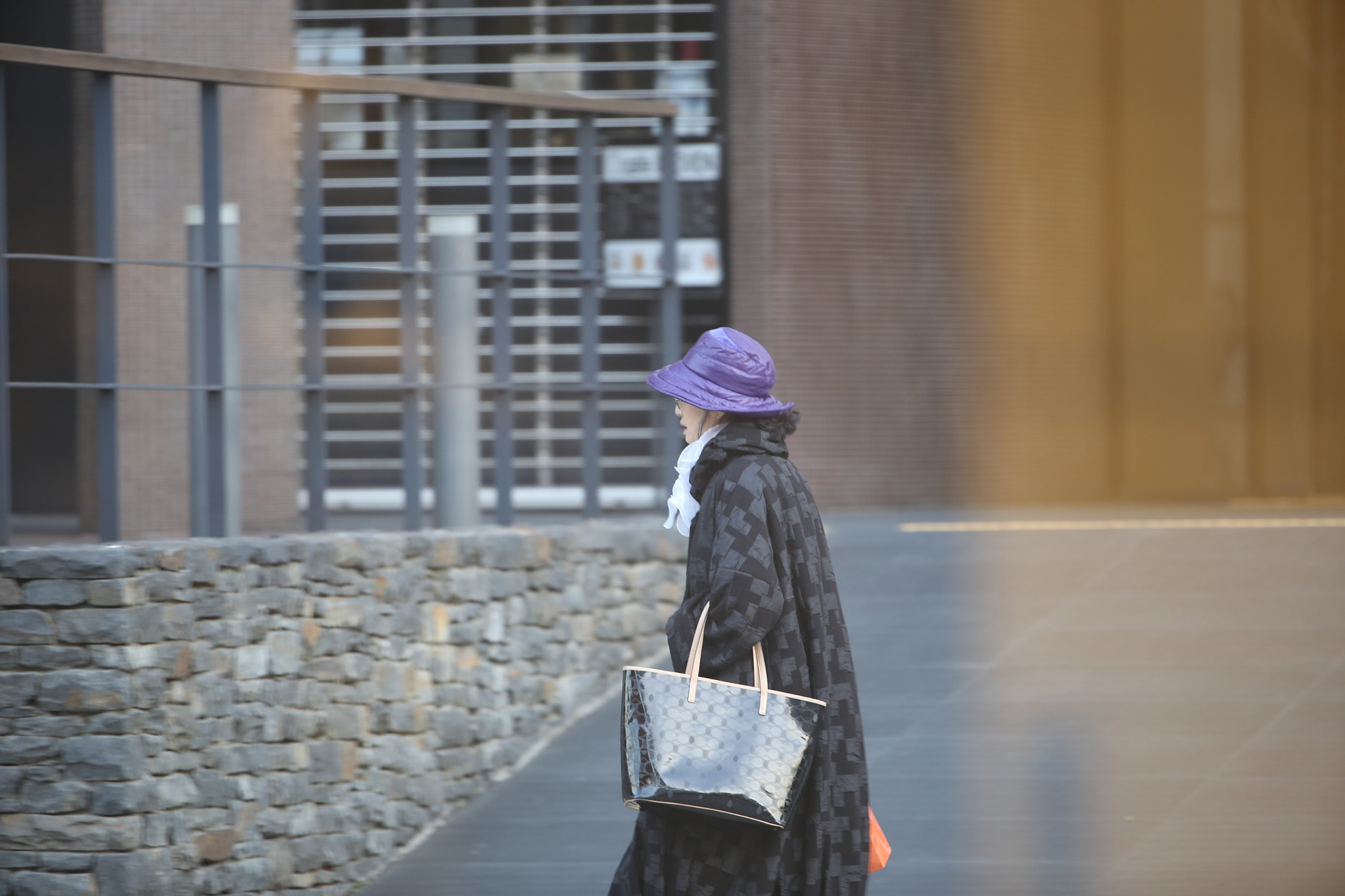 Canon EF 200-400mm F4L IS USM Extender 1.4x sample photo. The woman photography