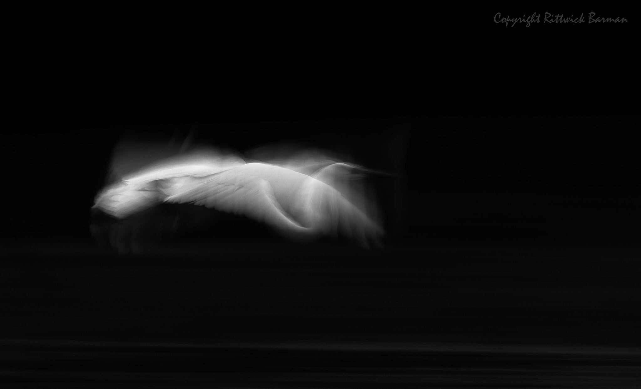 Canon EF 500mm F4L IS II USM sample photo. Ghost egret photography