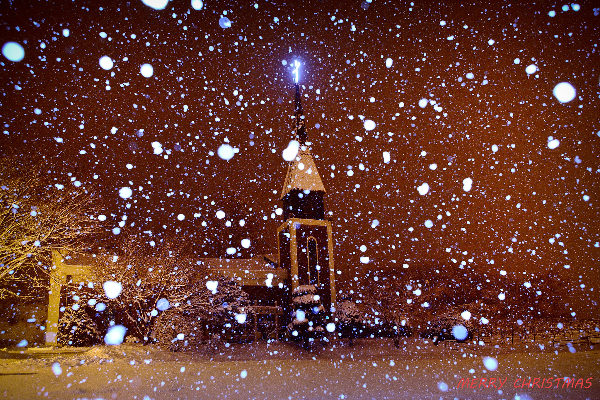 Canon EOS-1D Mark II N sample photo. Silent night photography