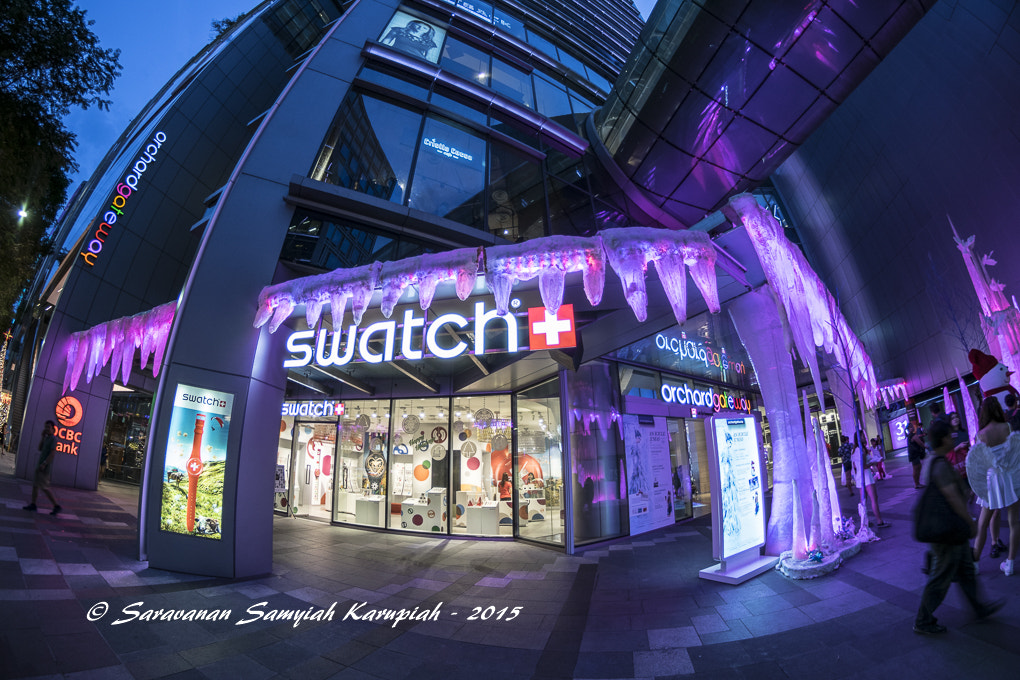 Nikon D3300 + Samyang 8mm F3.5 Aspherical IF MC Fisheye sample photo. Swatch photography