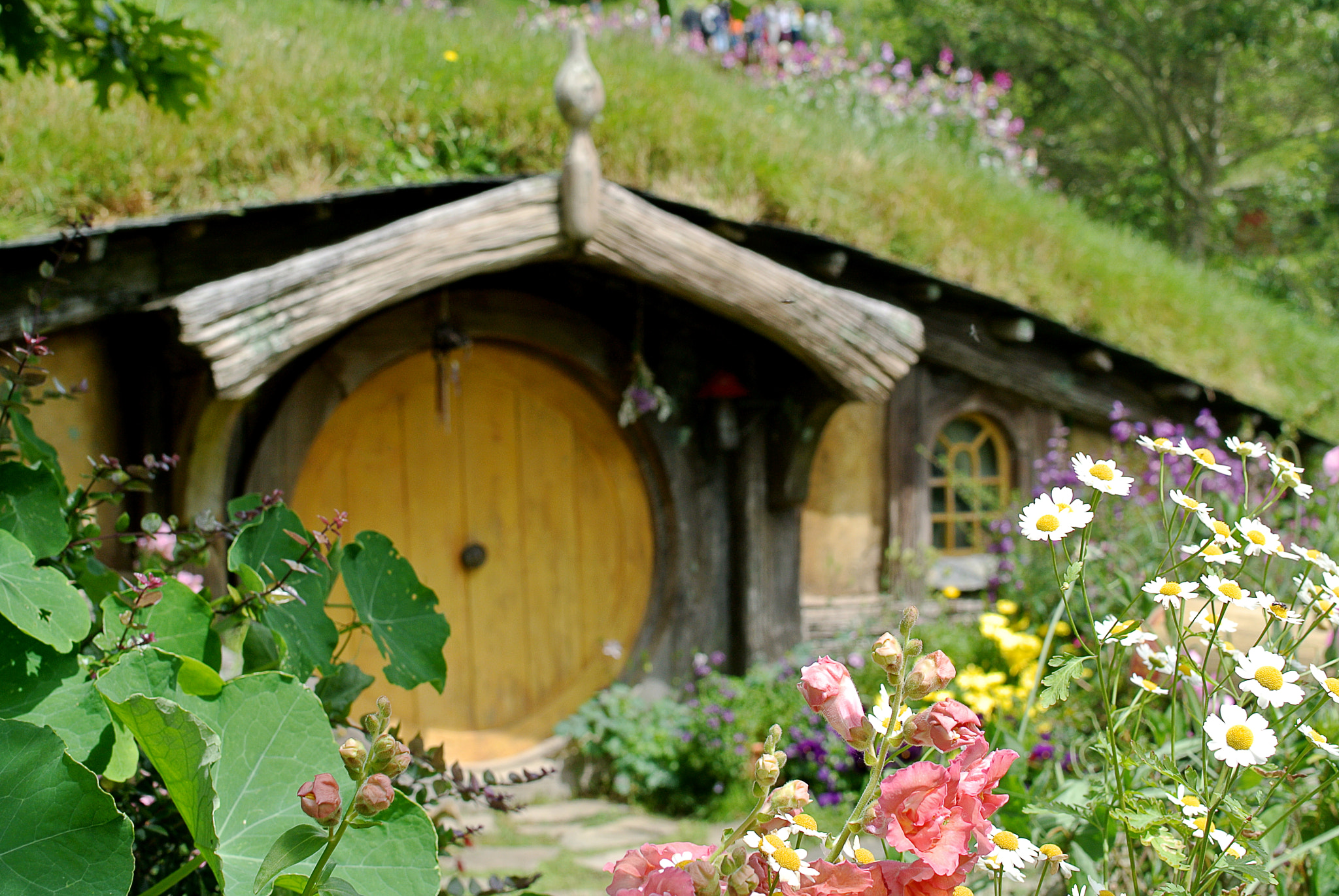 Nikon 1 V1 + Nikon 1 Nikkor 18.5mm F1.8 sample photo. Hobbiton - new zealand photography