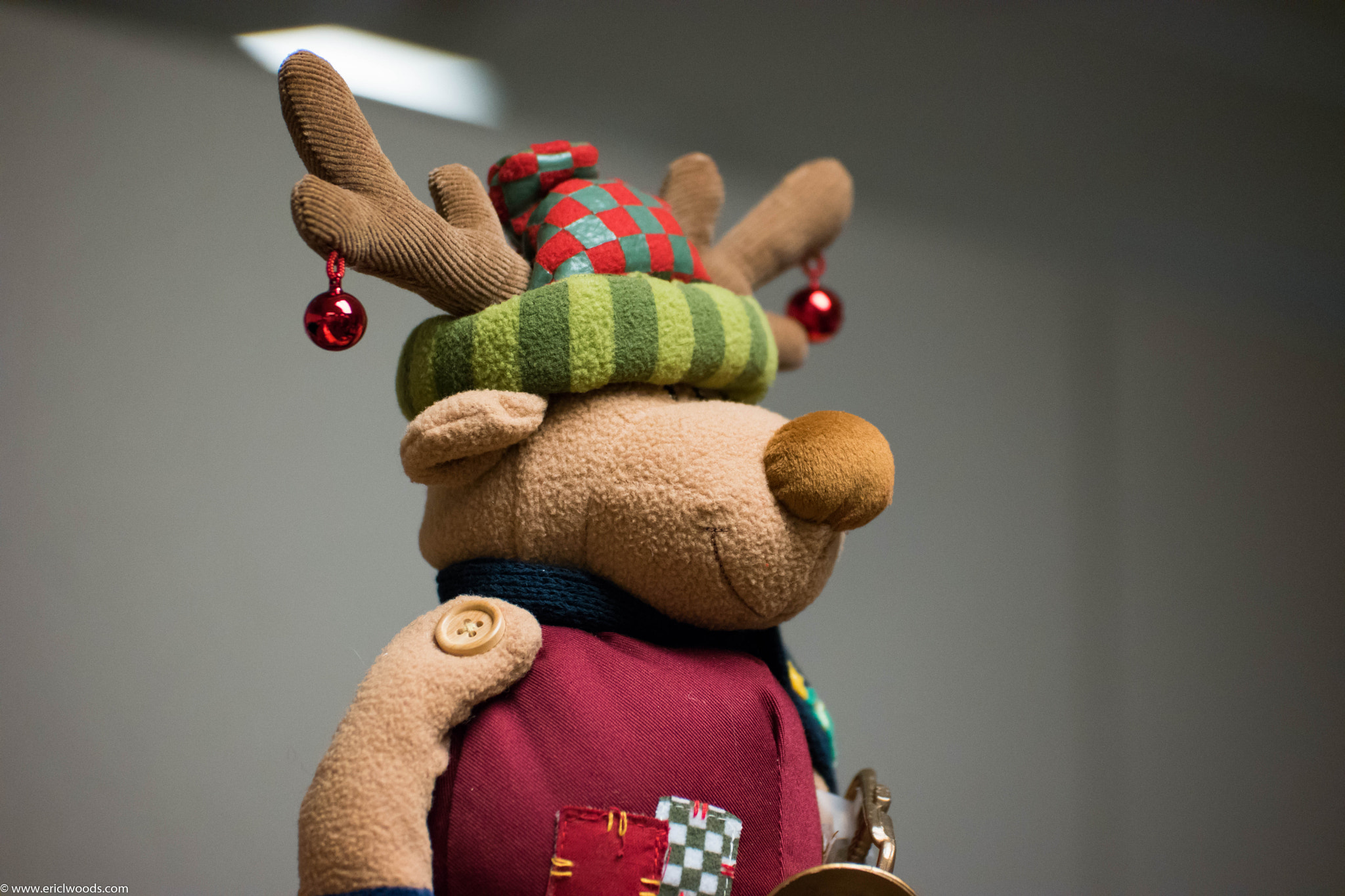 NX 50-150mm F2.8 S sample photo. Reindeer photography