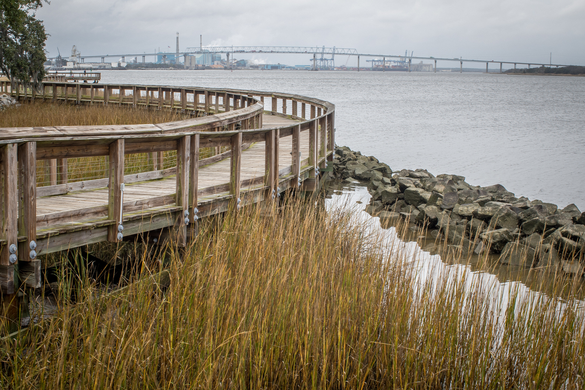 Canon EF 35mm F1.4L USM sample photo. Charleston-sc photography