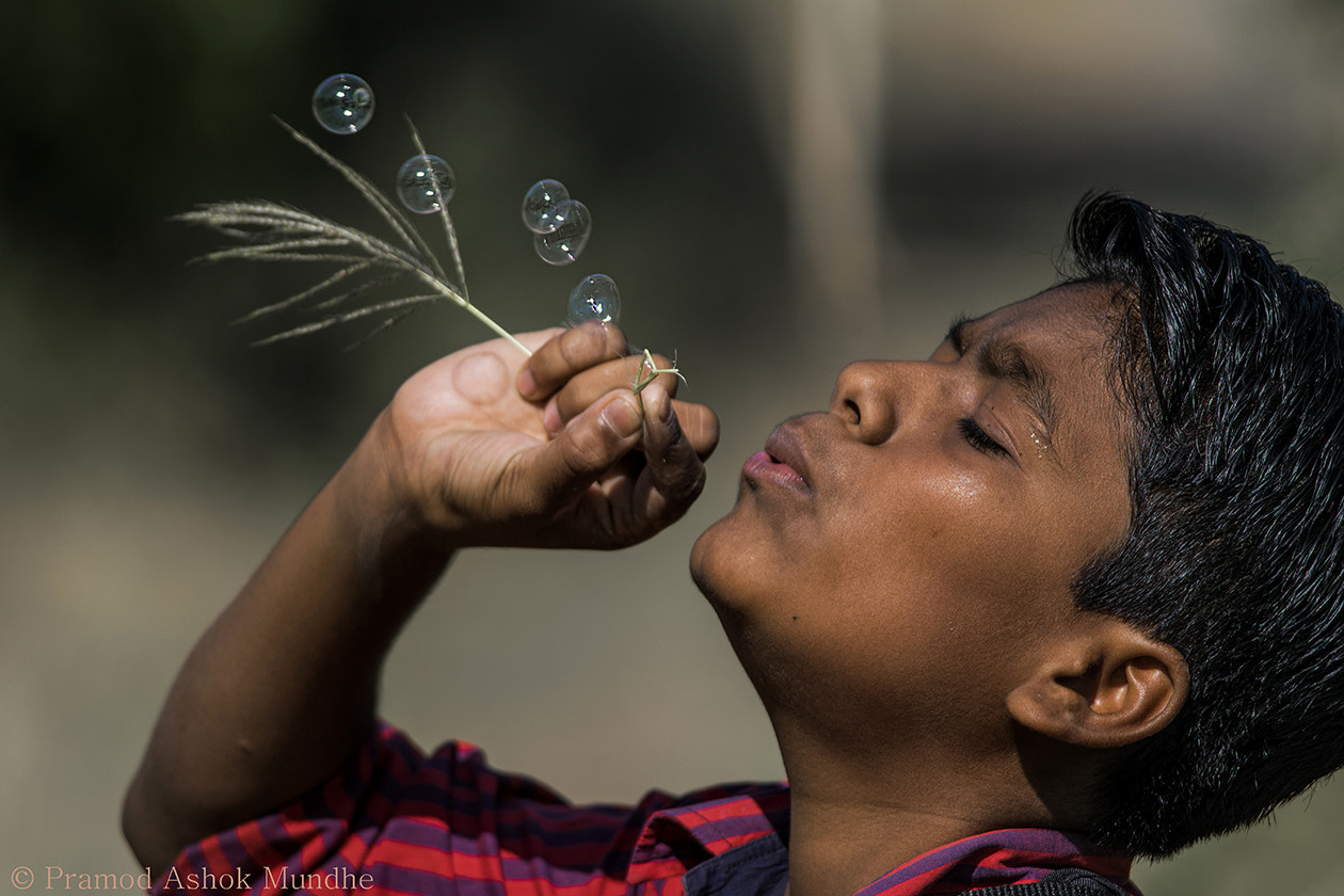 Nikon D5300 + Nikon AF-S Nikkor 300mm F4D ED-IF sample photo. Childhood memories.. photography
