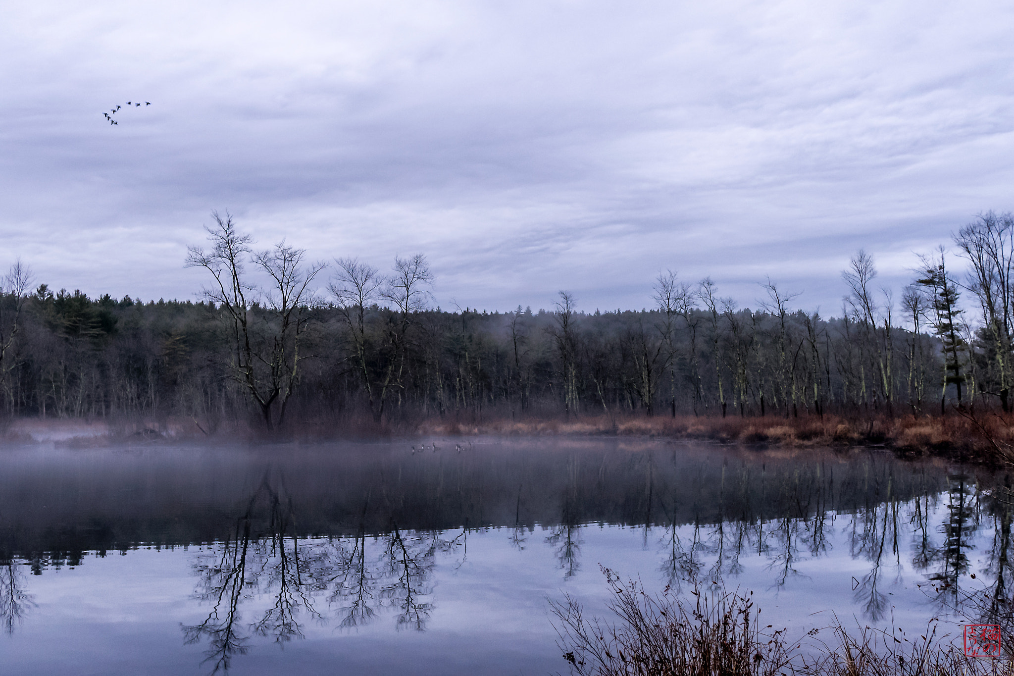 Sony a7 + Sony Sonnar T* E 24mm F1.8 ZA sample photo. Some will stay and some will go photography