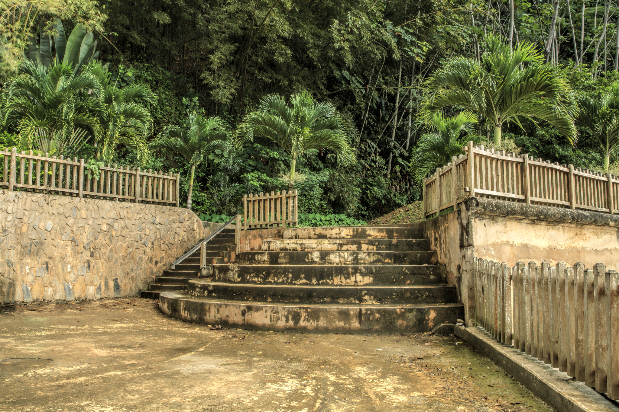 Canon EOS-1D Mark IV sample photo. Trinidad_bamboo_cathedral_chaguaramas_9452 photography