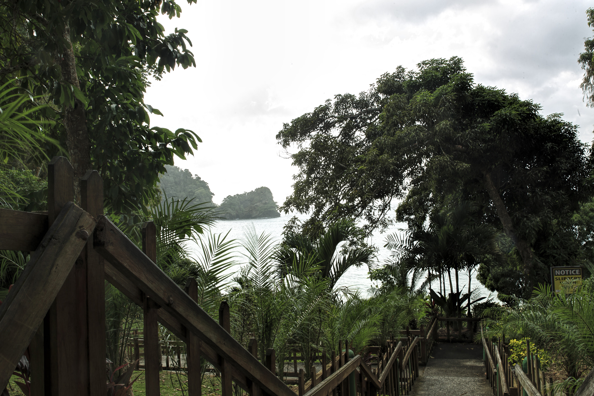 Canon EOS-1D Mark IV sample photo. Trinidad_bamboo_cathedral_chaguaramas_diego_martin_9453 photography