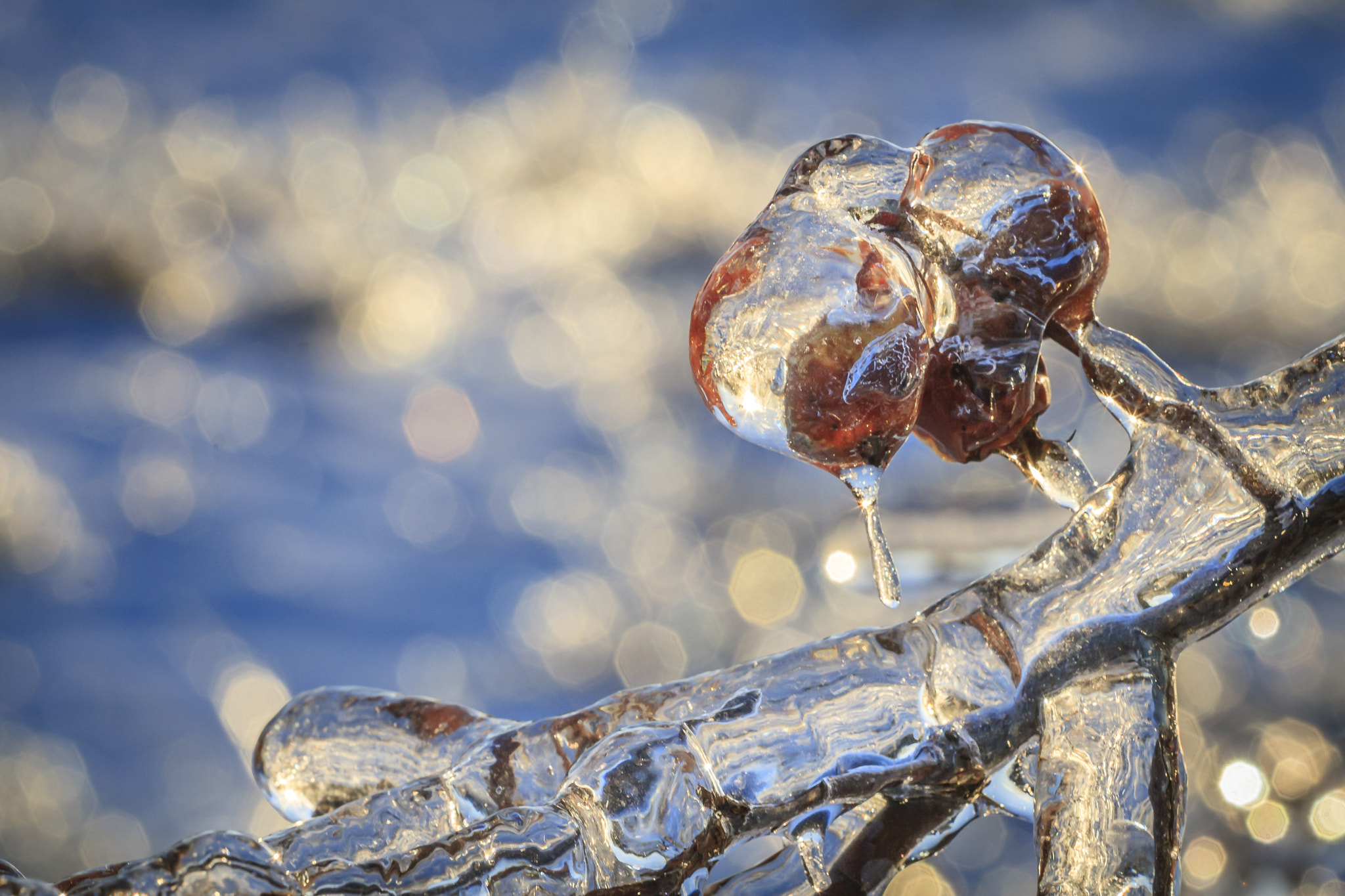 Canon EOS 30D + Canon EF 70-200mm F4L USM sample photo. Winter ice photography