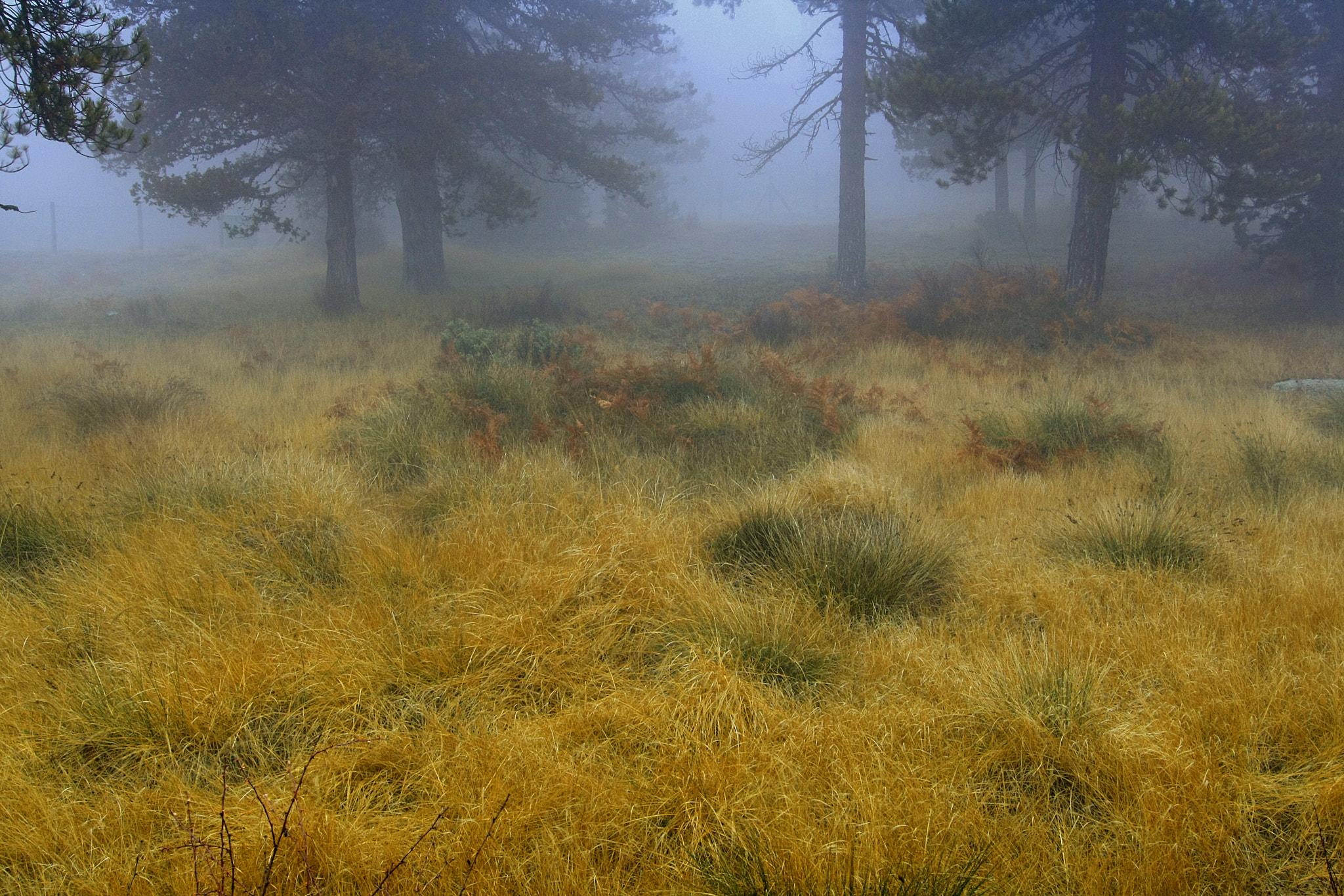 Tokina AT-X Pro 12-24mm F4 (IF) DX sample photo. Loumata ton aeton photography